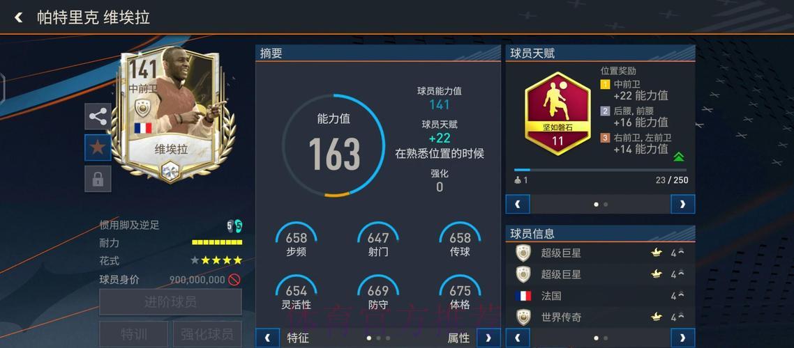 世界杯赛事展望：顶级体育专家深度解析