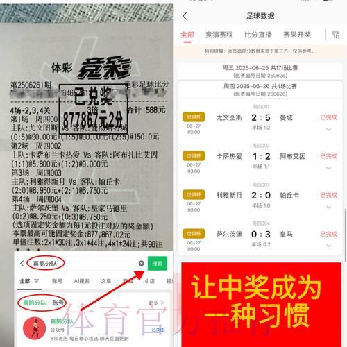 深度解析：世界杯竞猜平台的安全风险与潜在隐患